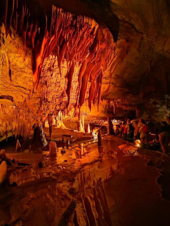 Magnifique Gite En Pierres 6 Personnes Avec Piscine Privee Ardeche Plein Sud Lablachère Exteriör bild